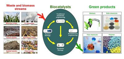 Cover image for research topic "Design and Application of Biocatalysts for Biofuel and Bio-based Material Production"