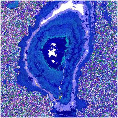 Cover image for research topic "Applications of E-Beam Automated Mineralogy, Petrography and Petrology"