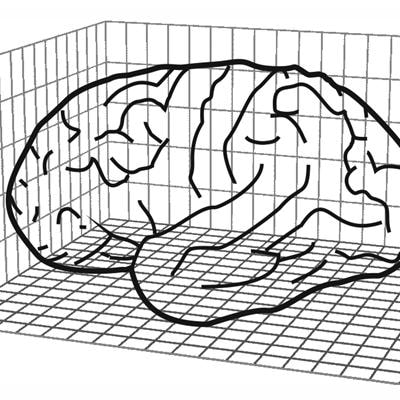 Cover image for research topic "Quantitative Analysis of Neuroanatomy"