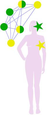 Cover image for research topic "Direct and Inverse Comorbidities Between Complex Disorders"