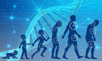 Cover image for research topic "Aging clocks in longevity medicine: from functional to multi-omics"