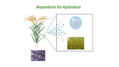 Cover image for research topic "Advances of Novel BioProducts for Sustainable Agriculture"