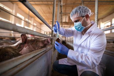 Cover image for research topic "The Impact of Government and Industry Practices on Animal Antimicrobial Use, Stewardship, and Resistance"