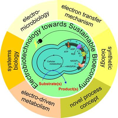 Cover image for research topic "Electrobiotechnology towards Sustainable Bioeconomy: Fundamental, Optimization and Applications"