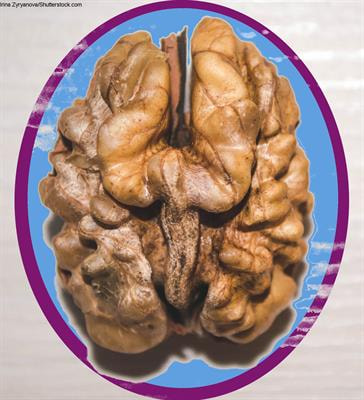 Cover image for research topic "Modifiable Risk Factors of Accelerated Brain Aging and Dementia"