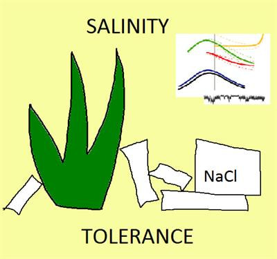 Cover image for research topic "Salinity tolerance in plants: mechanisms and regulation of ion transport"
