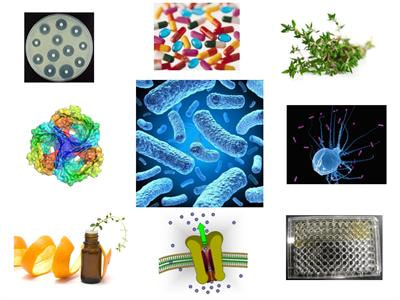 Cover image for research topic "Alternative therapeutics against MDR bacteria – “fighting the epidemic of antibiotic resistance”"