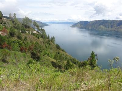 Cover image for research topic "Large Explosive Volcanic Eruptions (LEVEs)"