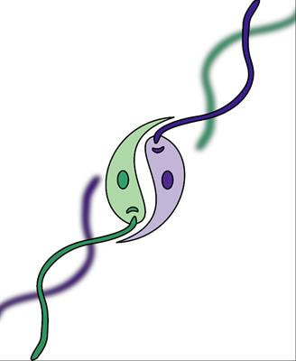 Cover image for research topic "Leishmania Genome Variability: Impacts on Parasite Evolution, Parasitism and Leishmaniases Control"