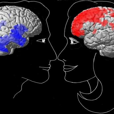 Cover image for research topic "From Sex Differences in Neuroscience to a Neuroscience of Sex Differences: New Directions and Perspectives"