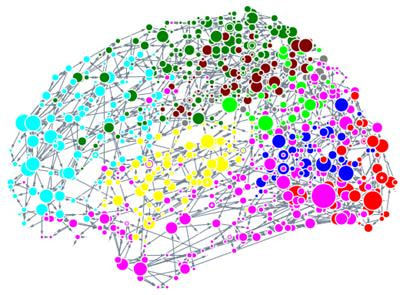 Cover image for research topic "Brain Connectivity, Dynamics, and Complexity"