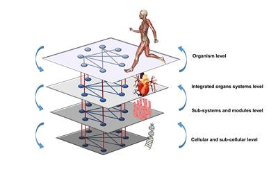 Cover image for research topic "Understanding Exercise, Fitness and Health Through Dynamic Networks of  Physiologic Systems Interactions"