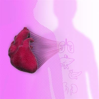 Cover image for research topic "Cardiovascular Imaging in the Integrated Assessment of Metabolic Health"