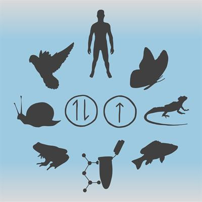 Cover image for research topic "Redox Metabolism in Environmental and Ecological Physiology of Animals"