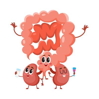 Cover image for research topic "The Gut-Kidney Axis: A Potential Drug Target for Treating Kidney Diseases"