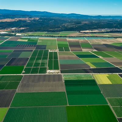 Cover image for research topic "Agricultural Diversification: Benefits and Barriers for Sustainable Soil Management"