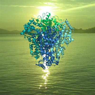 Cover image for research topic "Biotransformations by Marine Microorganisms and their Enzymes"