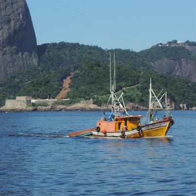 Cover image for research topic "Climate and Ocean Dynamics at the Brazilian Margin - Past and Present"
