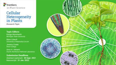 Cover image for research topic "Cellular Heterogeneity in Plants"