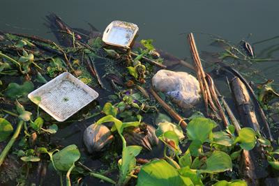 Cover image for research topic "Sensors and Sensor Systems for Detection of Emerging Environmental Contaminants"