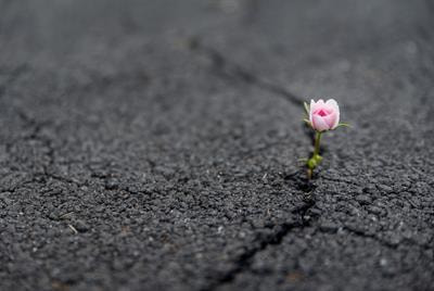 Cover image for research topic "Life-course Psychosocial Adversity, Resilience, and Aging"