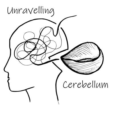 Cover image for research topic "Unravelling the Complex and Multifaceted Role of the Cerebellum in Health and Disease"