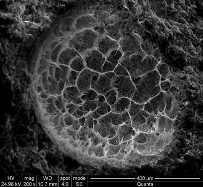 Cover image for research topic "Non-BF Slag-based Green Cementitious Materials"