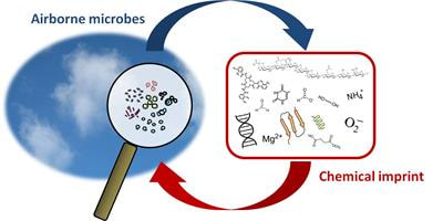 Cover image for research topic "The Atmospheric Microbiota II: Microbial Biomarkers and Imprint of Biological Activity in the Atmosphere"