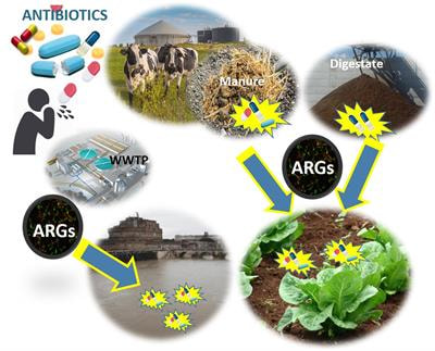 Cover image for research topic "Natural microbial communities and their response to antibiotic occurrence in ecosystems"