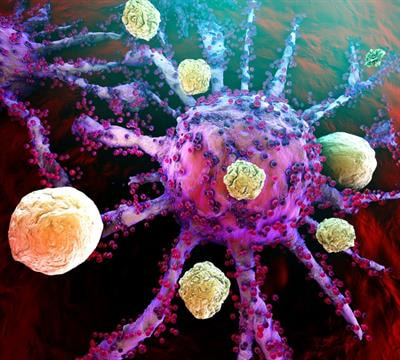 Cover image for research topic "Engineered Targeted Cancer Immunotherapies"