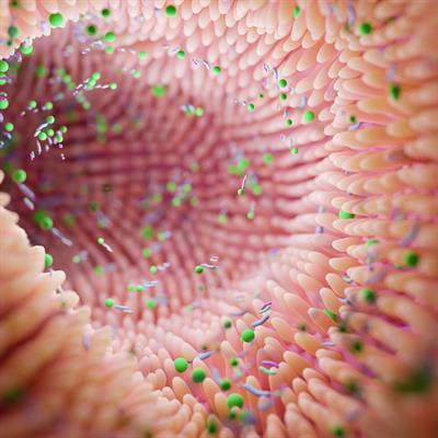 Cover image for research topic "Microbiome and Human Host Interactions and Their Implications on Human Health"