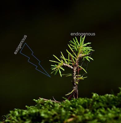 Cover image for research topic "Elicitors, Secret Agents at the Service of the Plant Kingdom"
