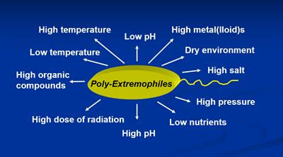 Cover image for research topic "Microbial Life Under Stress: Biochemical, Genomic, Transcriptomic, Proteomic, Bioinformatics, Evolutionary Aspects and Biotechnological Applications of Poly-Extremophilic Bacteria, Volume II"