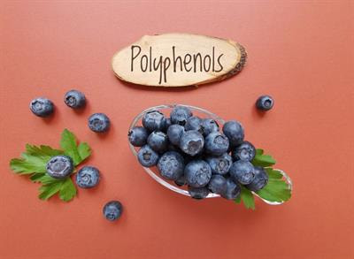 Cover image for research topic "Personalized Nutrition with Polyphenols – which, for whom, when and how?"