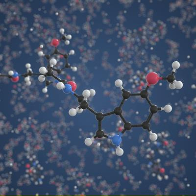 Cover image for research topic "Sleep and Circadian Rhythms Editor’s Pick 2021"