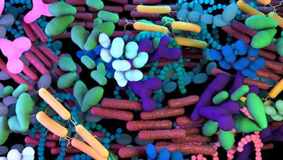 Cover image for research topic "Computational Methods for Microbiome Analysis, volume 2"
