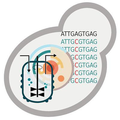 Cover image for research topic "Genomic Strategies for Efficient Microbial Cell Factories"