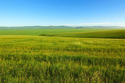 Cover image for research topic "Effects of Different Forms of Management or Patterns of Climate Change on the Grassland Ecosystem"
