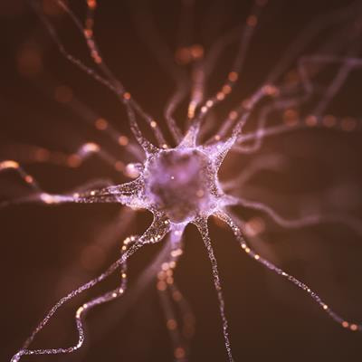 Cover image for research topic "Neurogenesis Editor's Pick 2021"