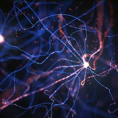 Cover image for research topic "Frontiers in Synaptic Neuroscience - Editor's Pick 2021"