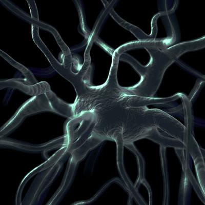 Cover image for research topic "Neuroplasticity and Development Editor’s Picks 2021"