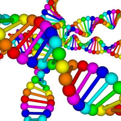 Cover image for research topic "Advances in Nucleic Acid-Based Biosensors and Imaging"