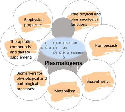Cover image for research topic "Solving the Plasmalogen Puzzle – From Basic Science to Clinical Application"