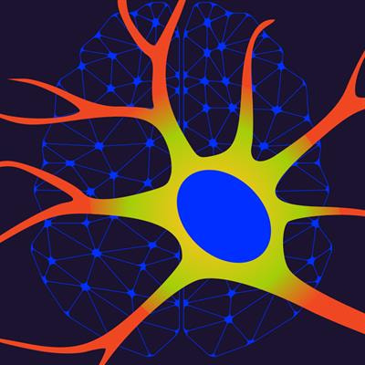 Cover image for research topic "Plasticity of Inhibitory Cells in Health and Disease"