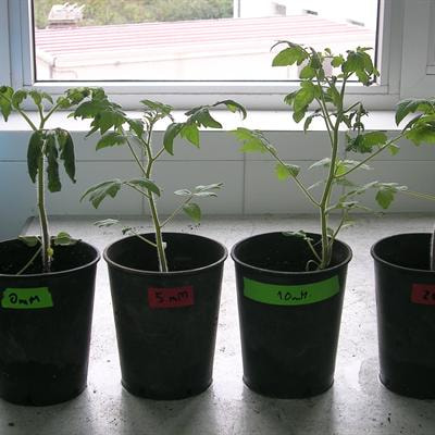 Cover image for research topic "Induced Resistance for Plant Defence"