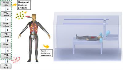 Cover image for research topic "Radiation Protection and Measurement in Nuclear Reactors"