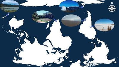 Cover image for research topic "Microbial ecology and ecosystems from a Southern perspective"