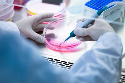 Cover image for research topic "Epigenetic Regulation of Stem Cells Derived from Craniofacial Tissues"
