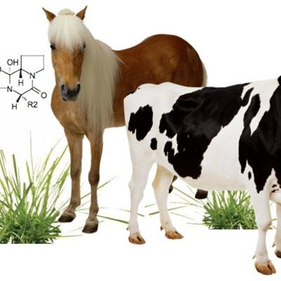 Cover image for research topic "Recent Investigations of Ergot Alkaloids Incorporated into Plant and/or Animal Systems"