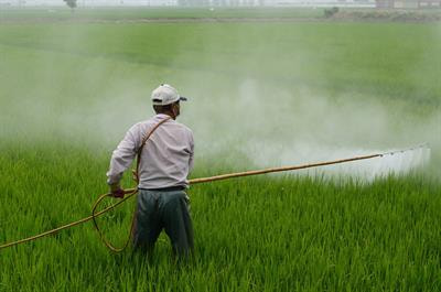 Cover image for research topic "Achievements and New Frontiers in Pesticide Sensing"